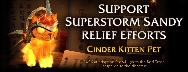 Support Superstorm Sandy Relief Efforts – Adopt a Cinder Kitten Today!