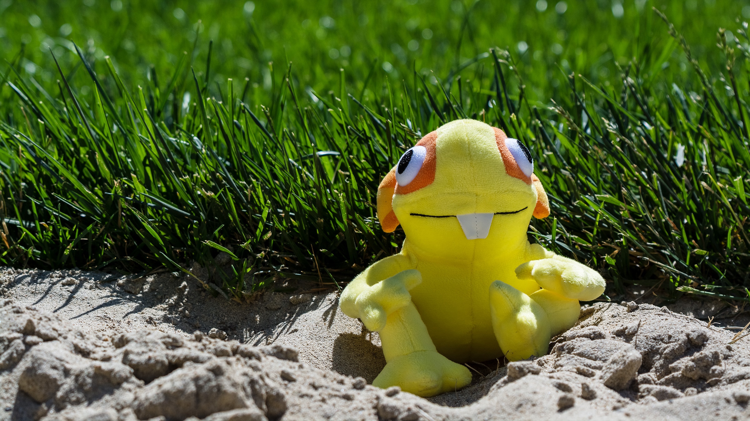New Plush and In-Game Pet: Meet Squirky!