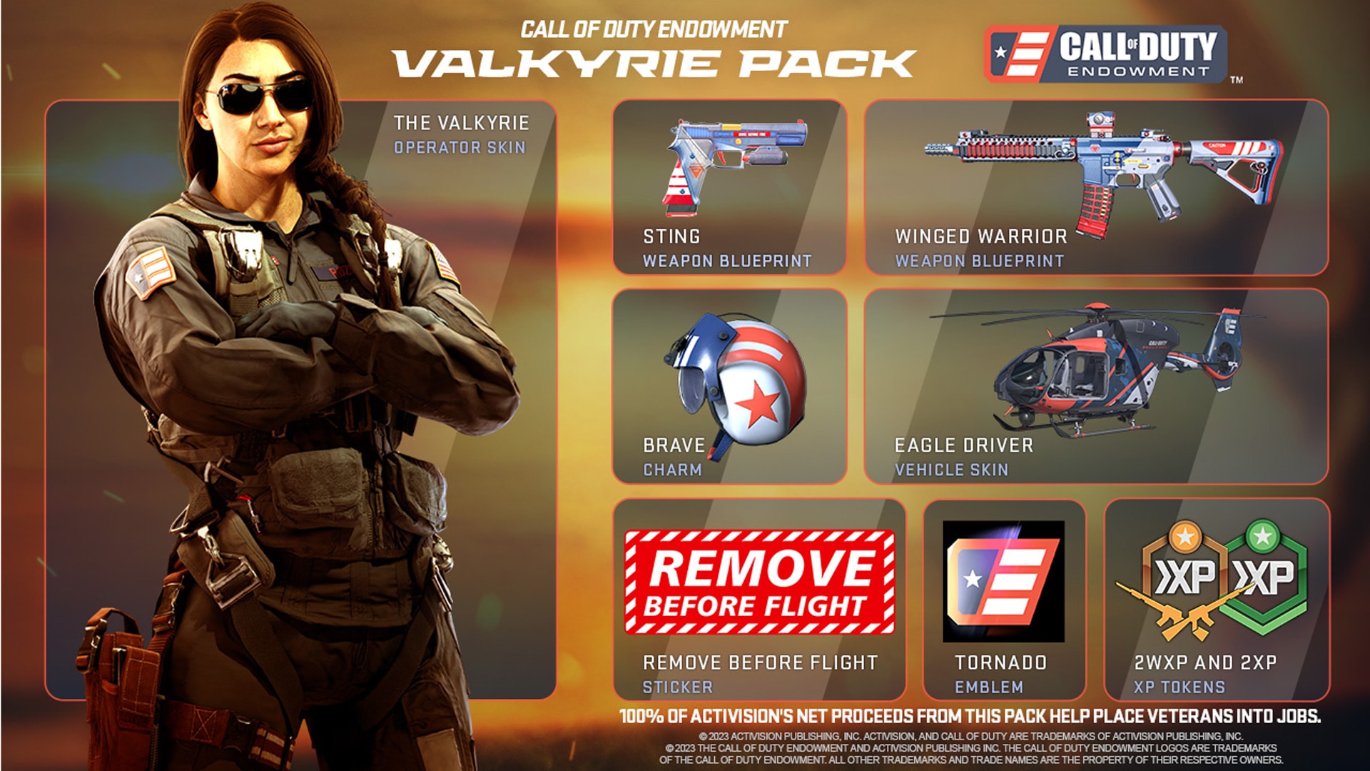Support veterans with the Call of Duty Endowment Valkyrie Pack