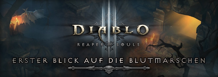 Vorschau zu Reaper of Souls™: Die Blutmarschen