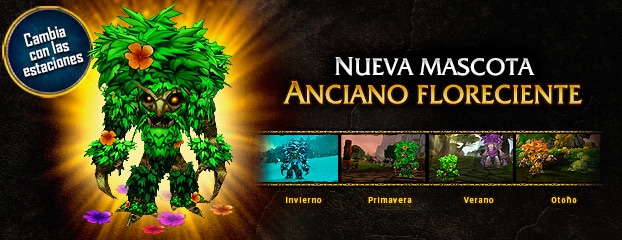 Anciano floreciente: ya disponible en la Tienda de mascotas