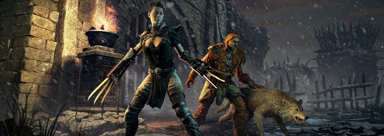 《暗黑破壞神 II：獄火重生》更新檔 2.3 焦點內容