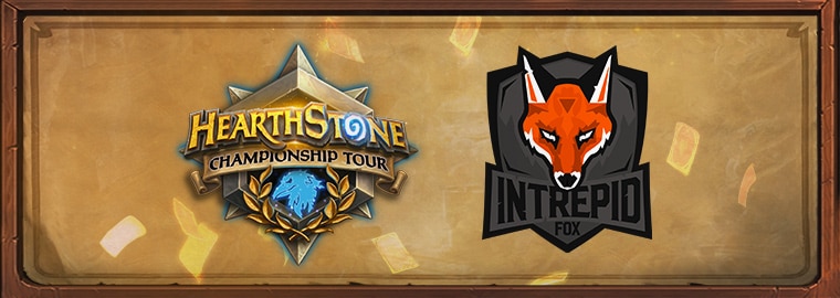 Meet the Teams: Intrepid Fox