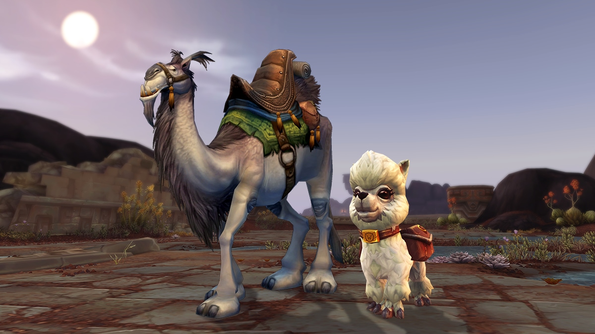 Zdobądź zwierzaka Dottie i wierzchowca białego wielbłąda — World of Warcraft — Wiadomości Blizzarda