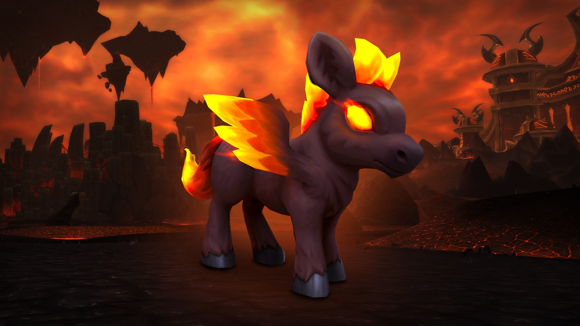 이글거리는 용기 애완동물