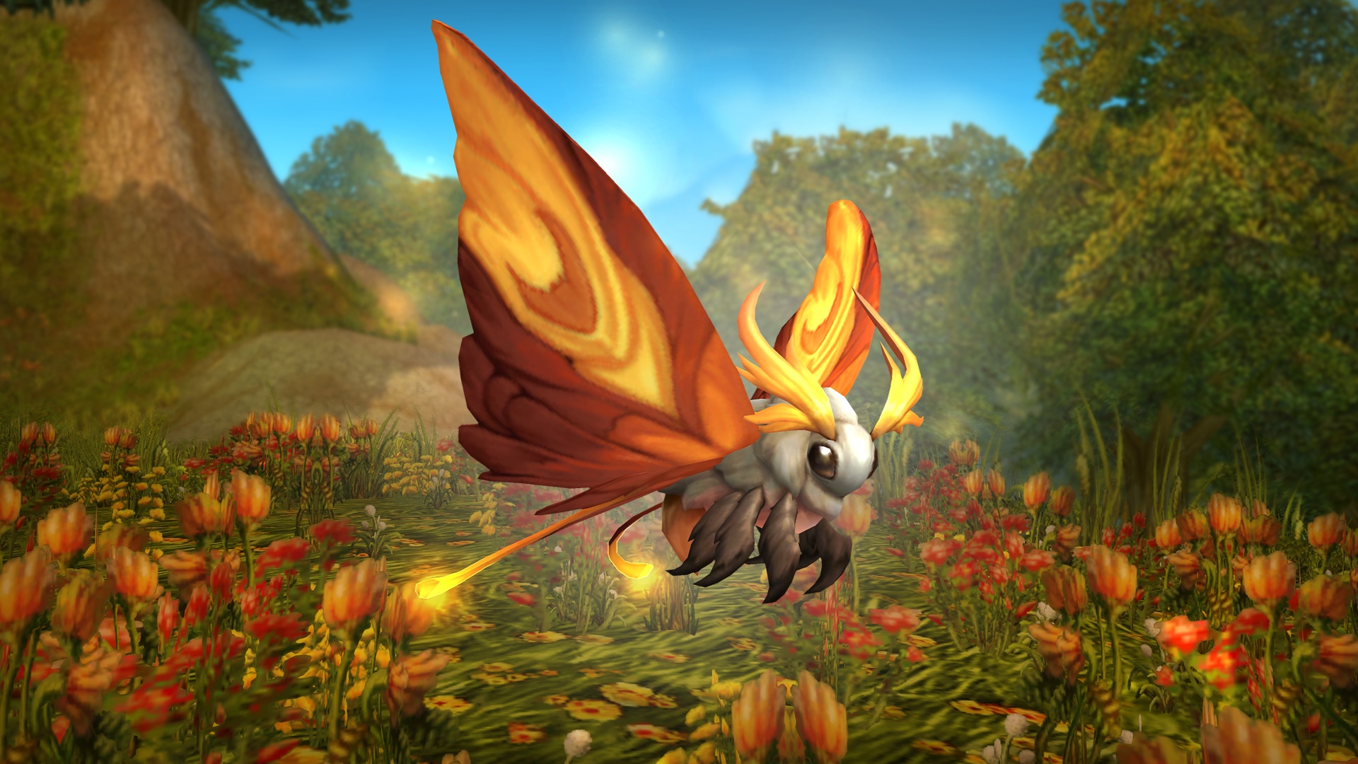 Sunflicker Driftmoth Pet