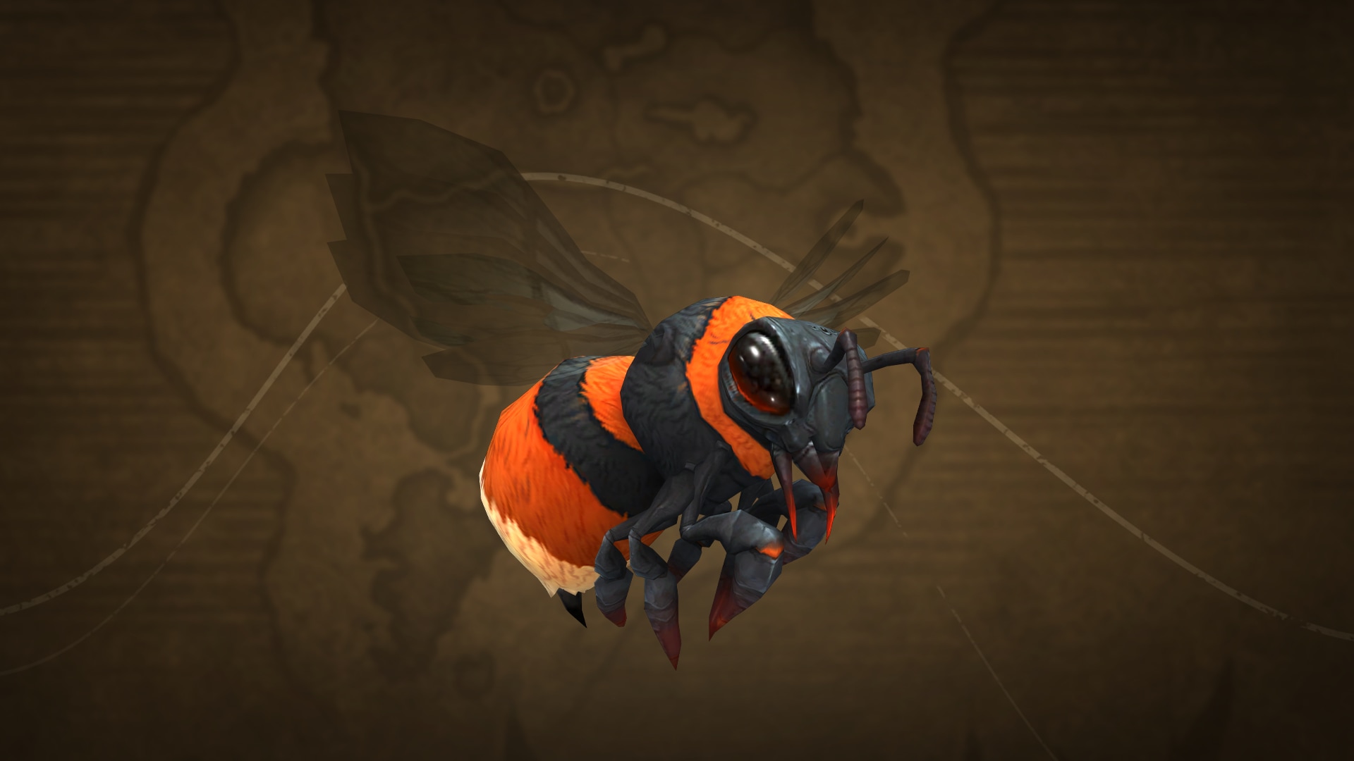 Black and orange bee