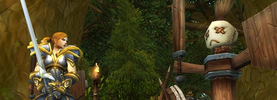 NewPlayerGuide-Human_WoW_LBThumbL-TrainingRing_JM_550x200.jpg