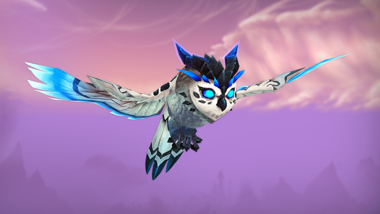 swoopy-owl-pet