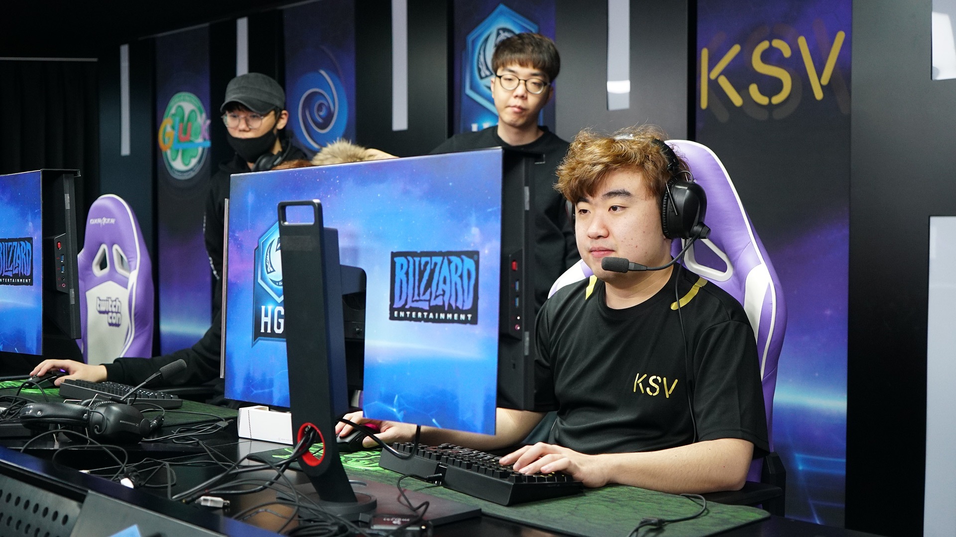 ksv.jpg
