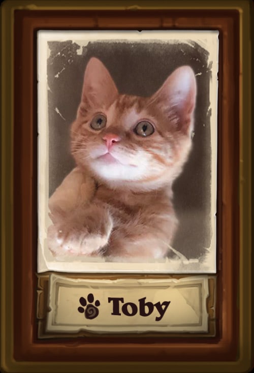 Toby_Cat.jpg