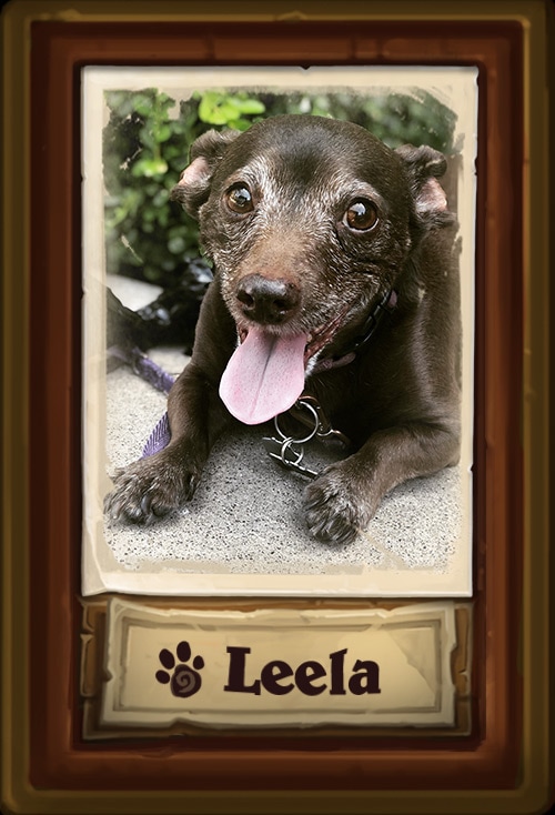 Leela.jpg