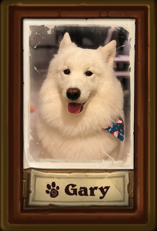 Gary.jpg