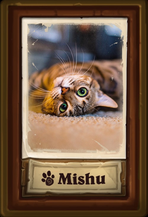 Mishu_Cat.jpg