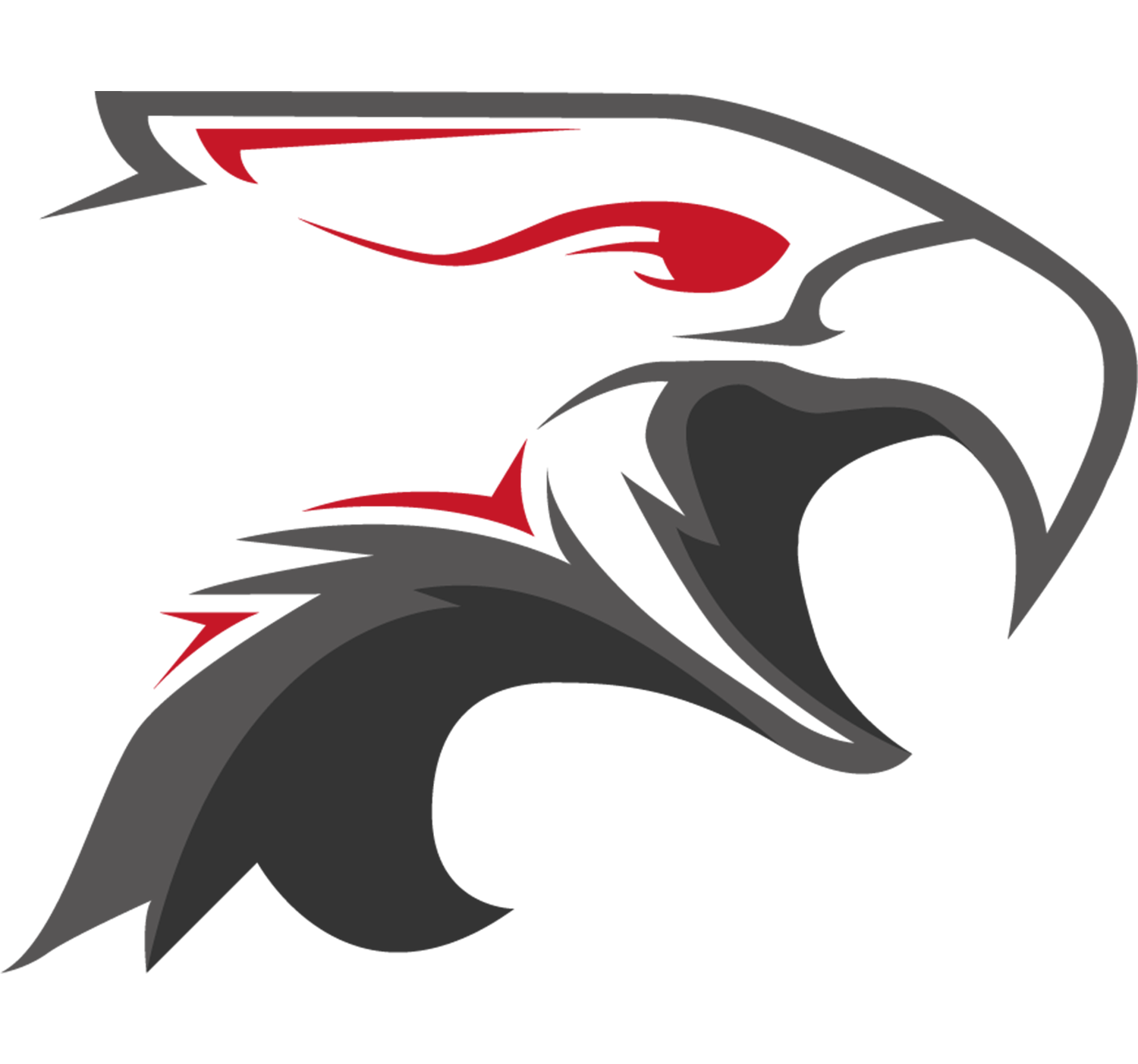 Dark Sided