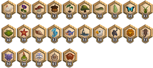 New Player Ranks (50-26)