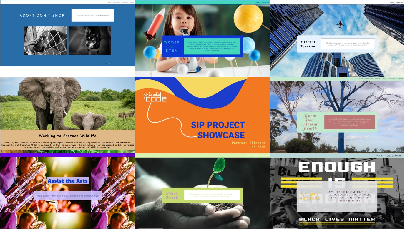 A collage of student websites covering topics such as wildlife protection, women in STEM, mindful tourism, and social justice.