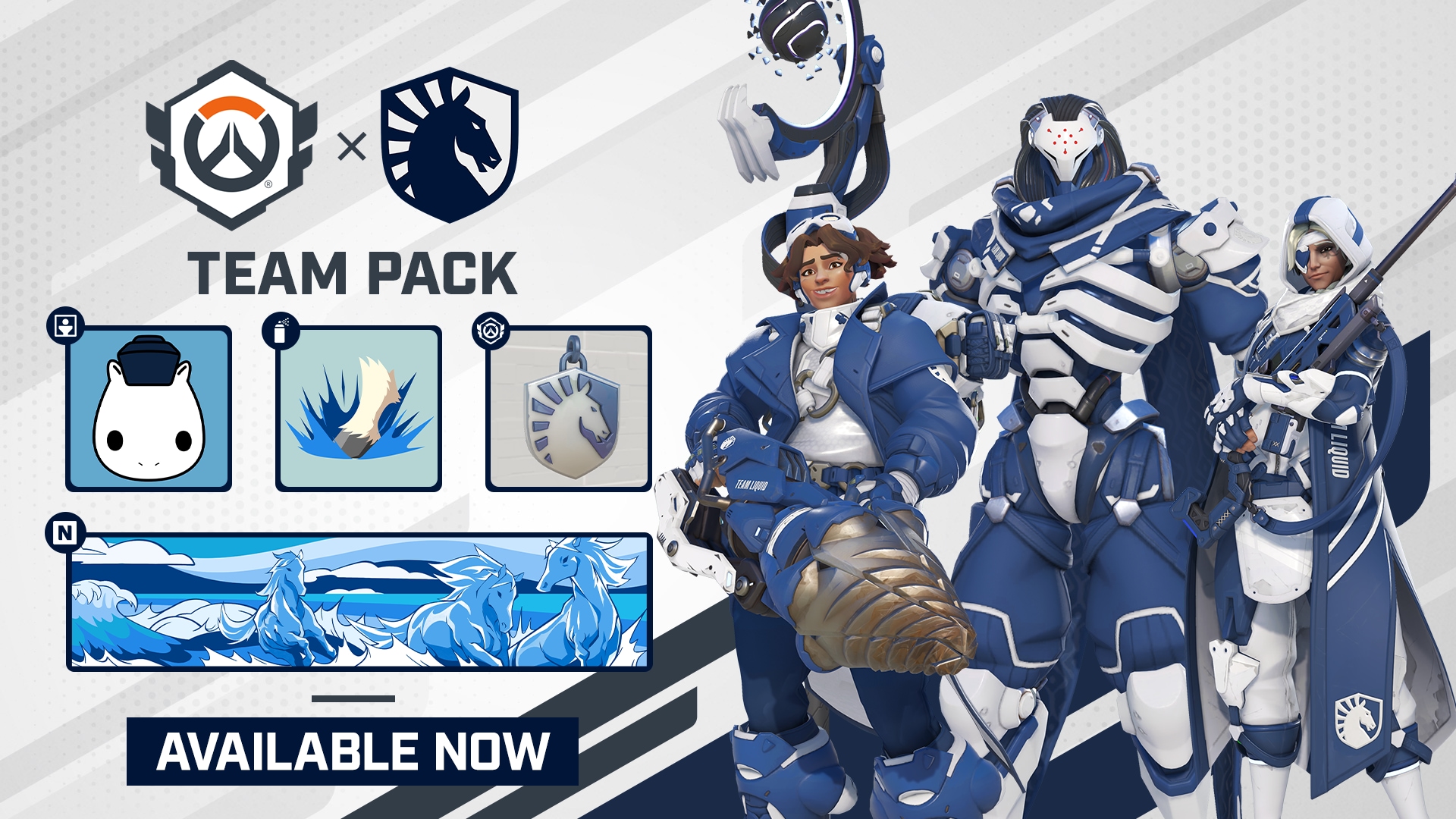 S17_OWCS_TeamLiquid_web.png