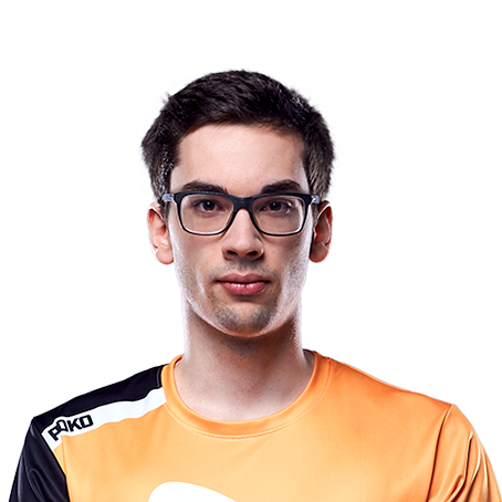 Poko - Gael Gouzerch