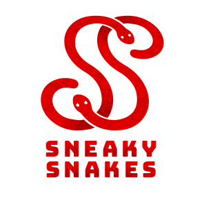 BlizzCon 2017 World of Warcraft Arena World Championship